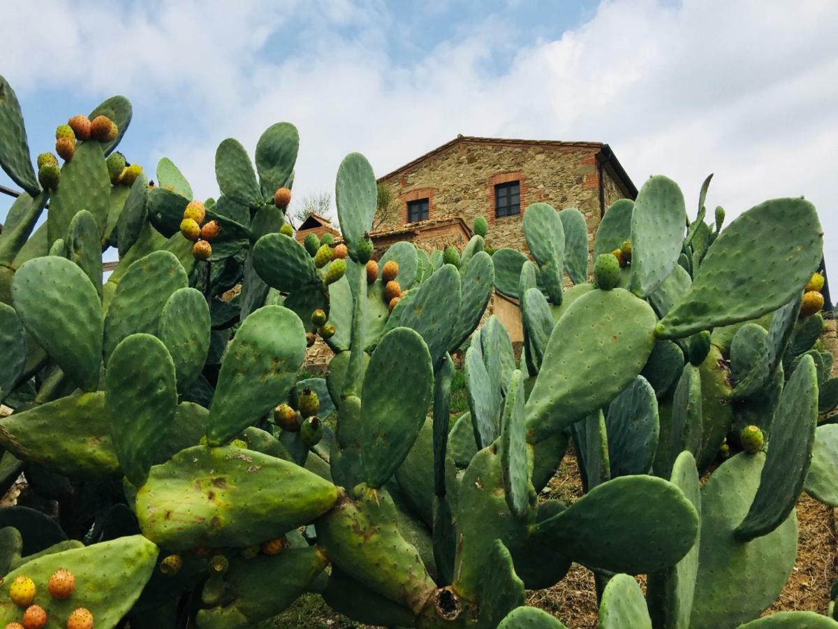 Casetta Tre Poderi Appartamento Cactus Monte Cucco エクステリア 写真